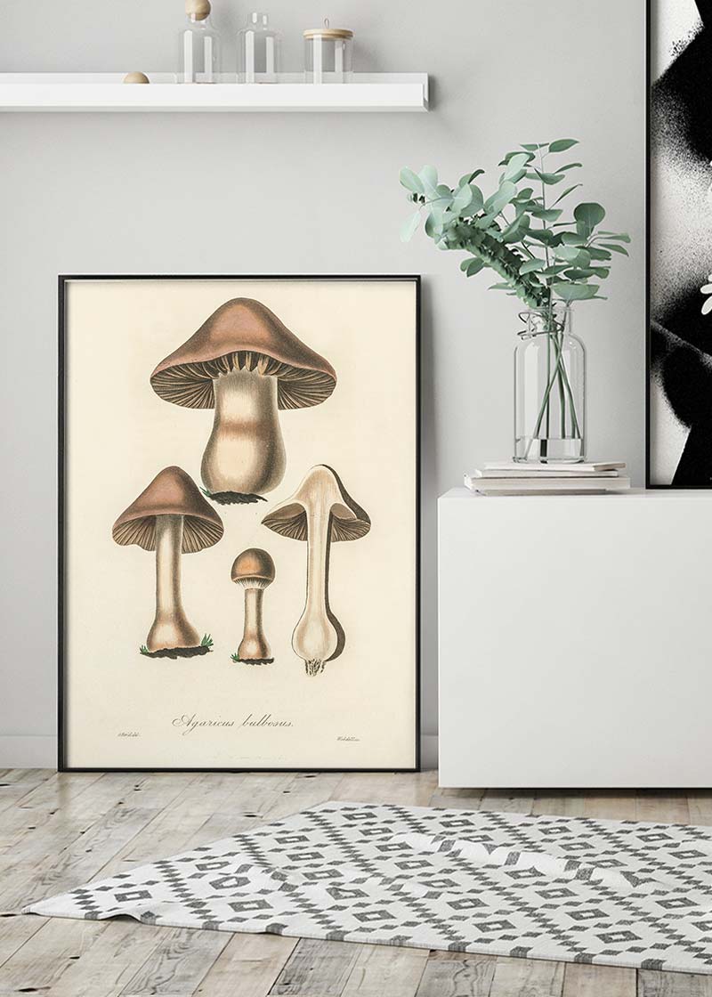 Vintage Mushrooms Print - Agaricus Bulbosus