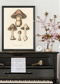 Vintage Mushrooms Print - Agaricus Bulbosus