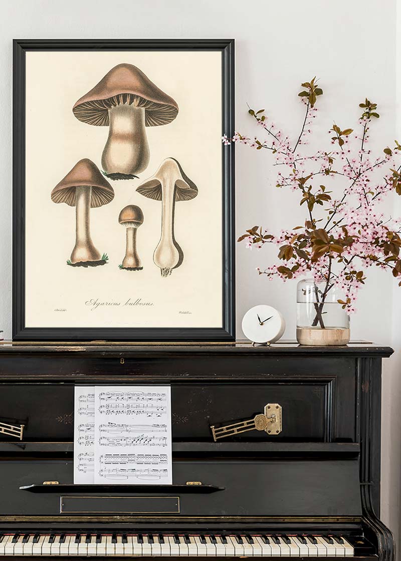 Vintage Mushrooms Print - Agaricus Bulbosus