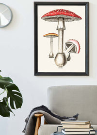 Vintage Red Mushrooms Illustration