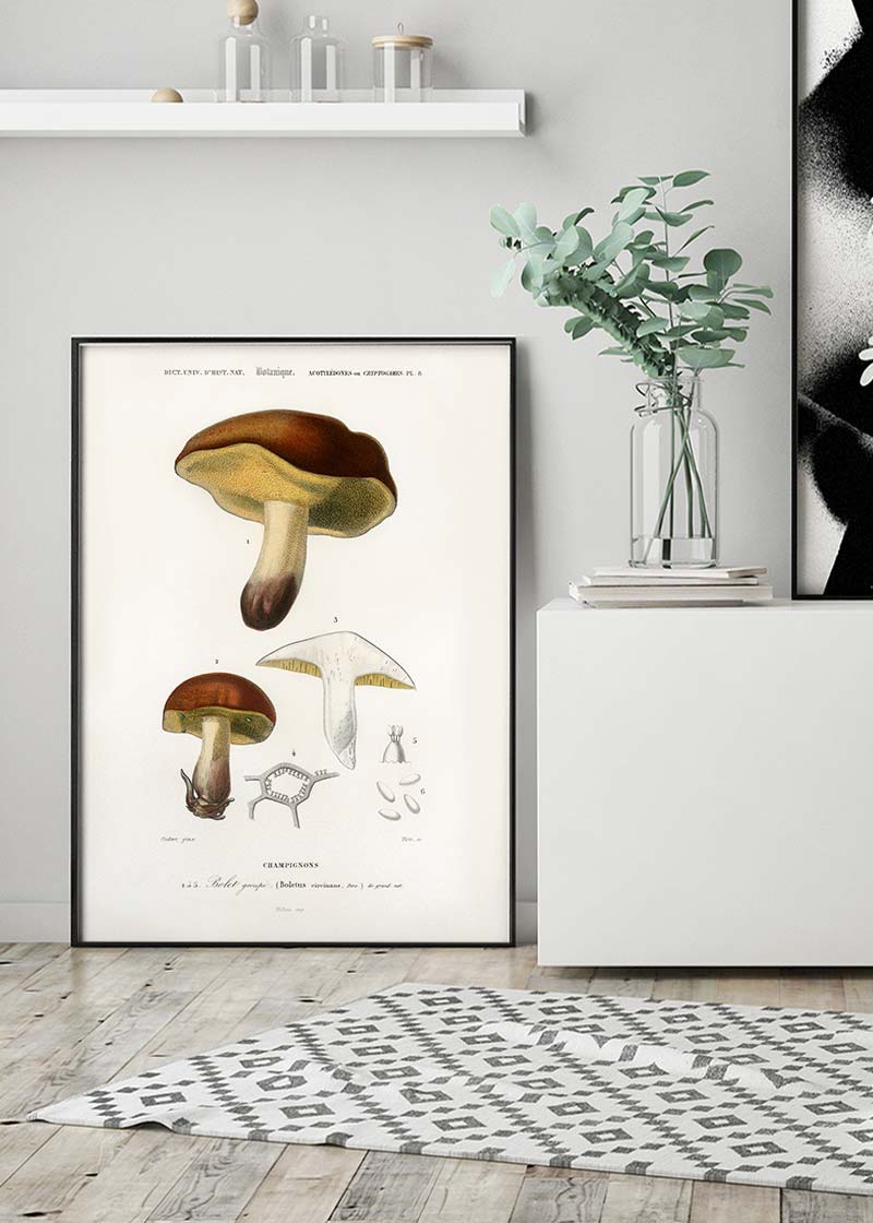 Vintage Champignons Botanique Print