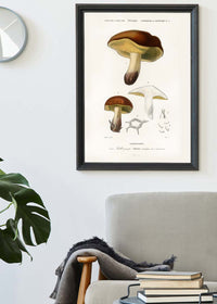 Vintage Champignons Botanique Print