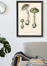 Vintage Mushrooms Green Print - Amanita Muscaria Prar