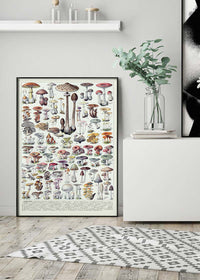 Vintage Mushrooms Chart Poster 1