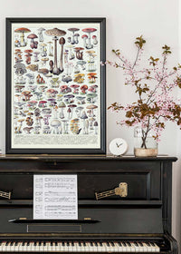 Vintage Mushrooms Chart Poster 1