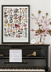 Vintage Mushrooms Chart Poster 2