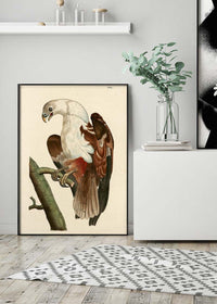 Vintage Pondicherry Eagle Bird Print
