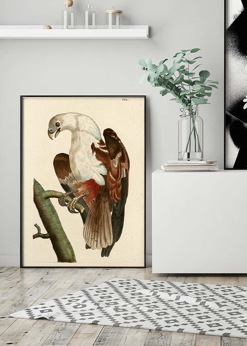 Vintage Pondicherry Eagle Bird Print