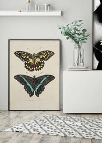 Vintage Butterflies Print
