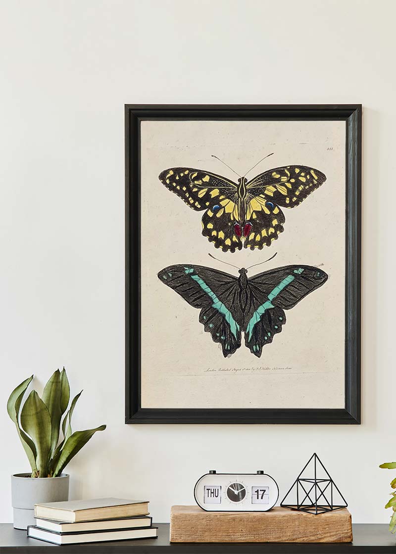 Vintage Butterflies Print