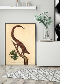Vintage Long Tailed Pangolin