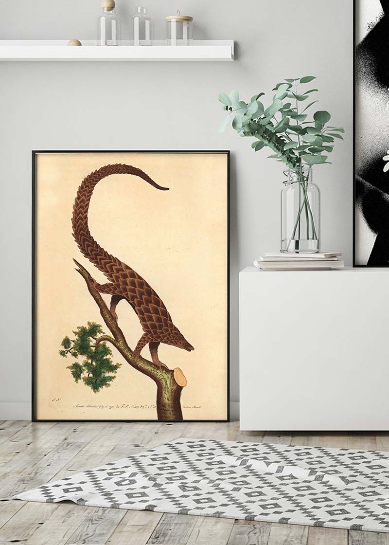 Vintage Long Tailed Pangolin