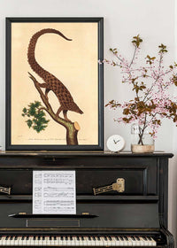 Vintage Long Tailed Pangolin