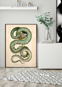 Vintage Canine Boa Snake Print