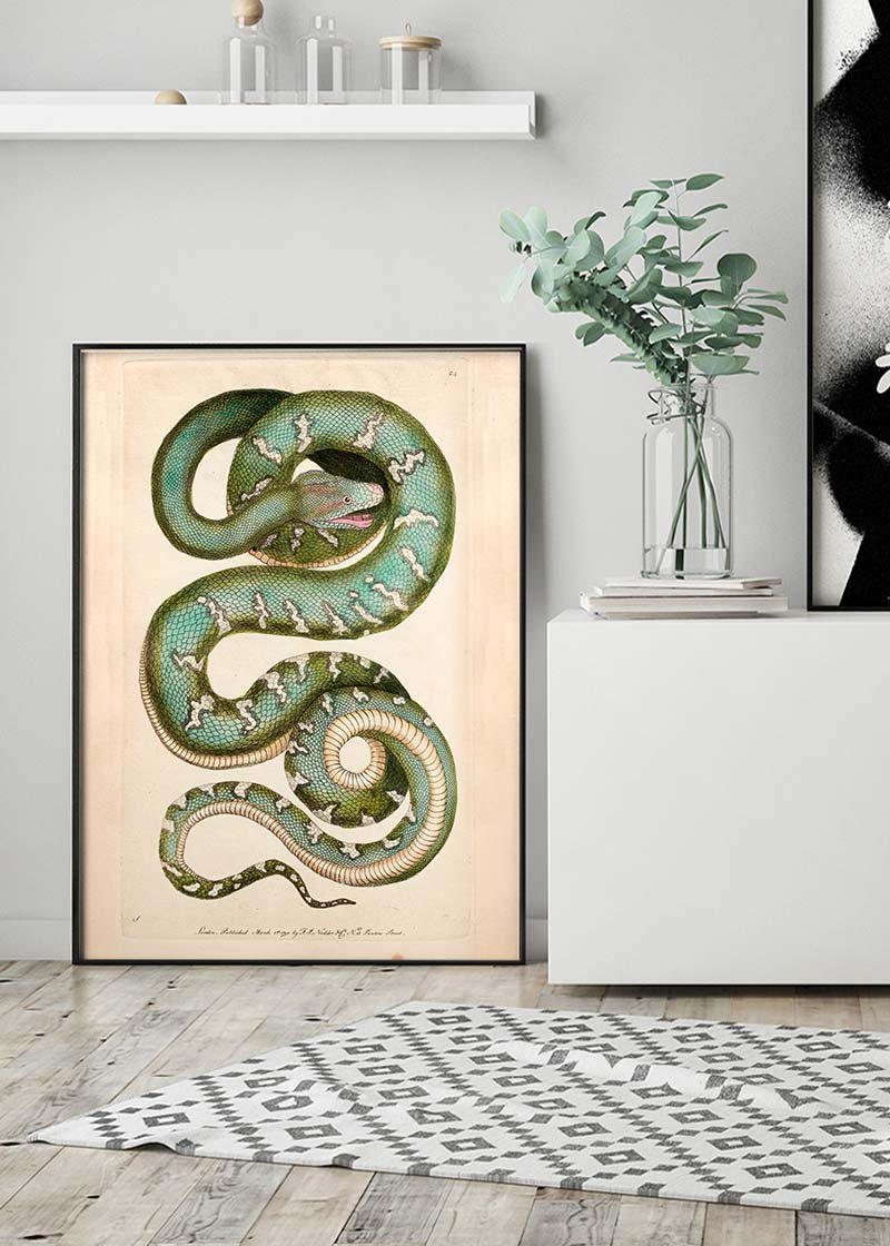 Vintage Canine Boa Snake Print