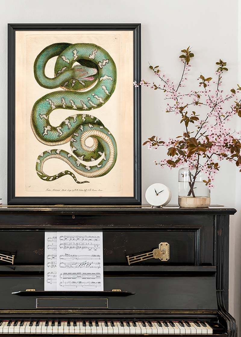 Vintage Canine Boa Snake Print