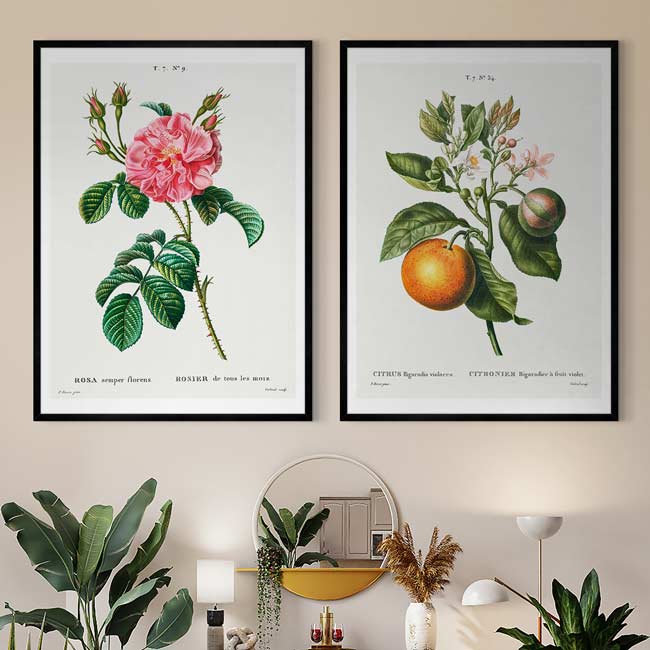 Vintage Botanical & Floral Prints