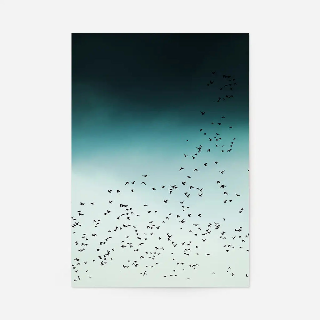 Birds Flight Print