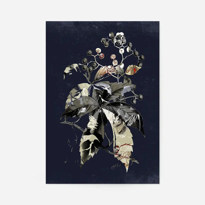 Fox Animal Black And White Portrait Print