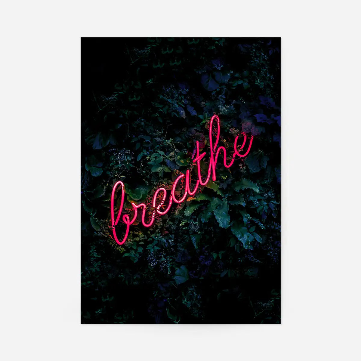 Bee Black And White Illustration Print