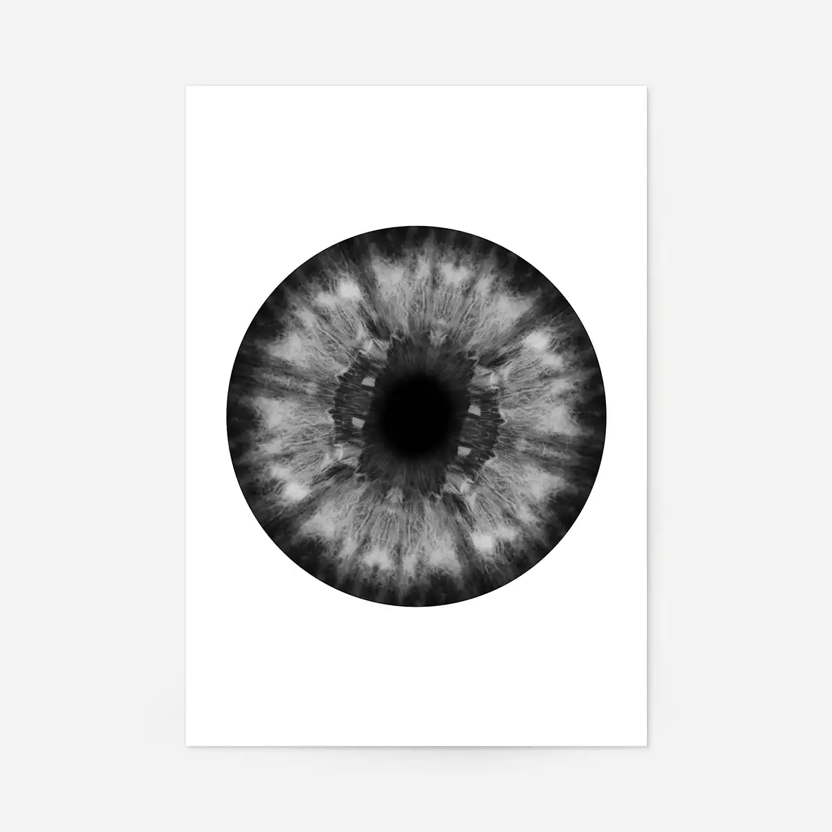 Eyeball Black And White Print