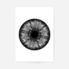 Eyeball Black And White Print