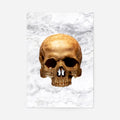 Print Only