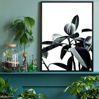 Leaves Print