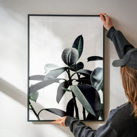 Leaves Print