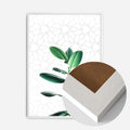 White Wood Frame