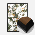 Black Wood Frame