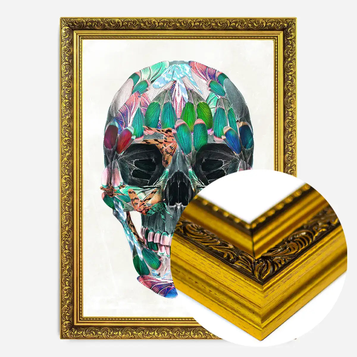 White Wings Skull Print