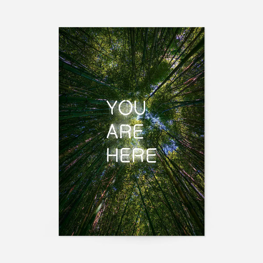 You Are Here Forest Neon 30x40cm Clearance Print