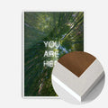 White Wood Frame