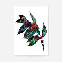 Botanical 4 White Print