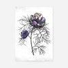 Botanical 6 White Rose Print