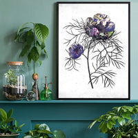 Botanical 6 White Rose Print