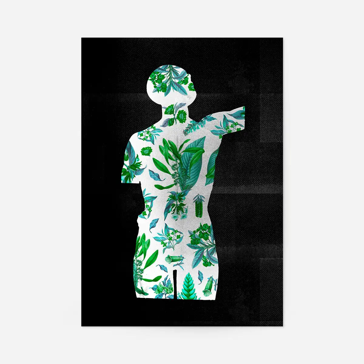 Botanical Anatomy Green Print