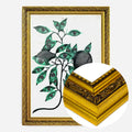 Gold Ornate Frame