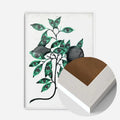 White Wood Frame