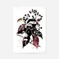 Print Only