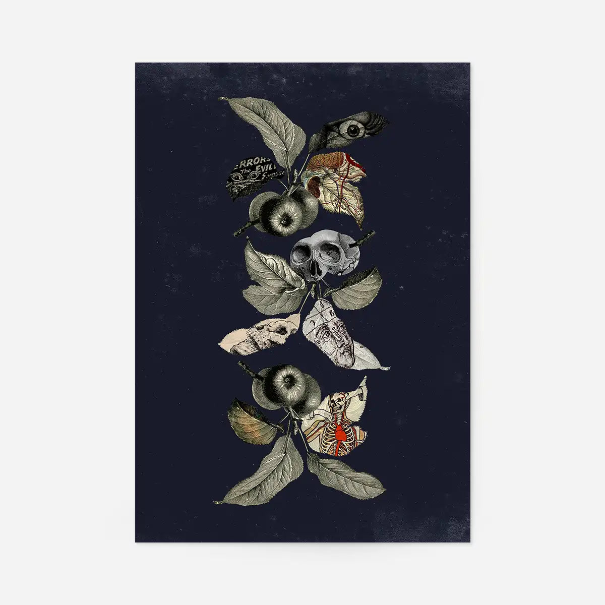 Botanical Skulls Navy Print