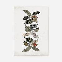 Botanical Skulls Print