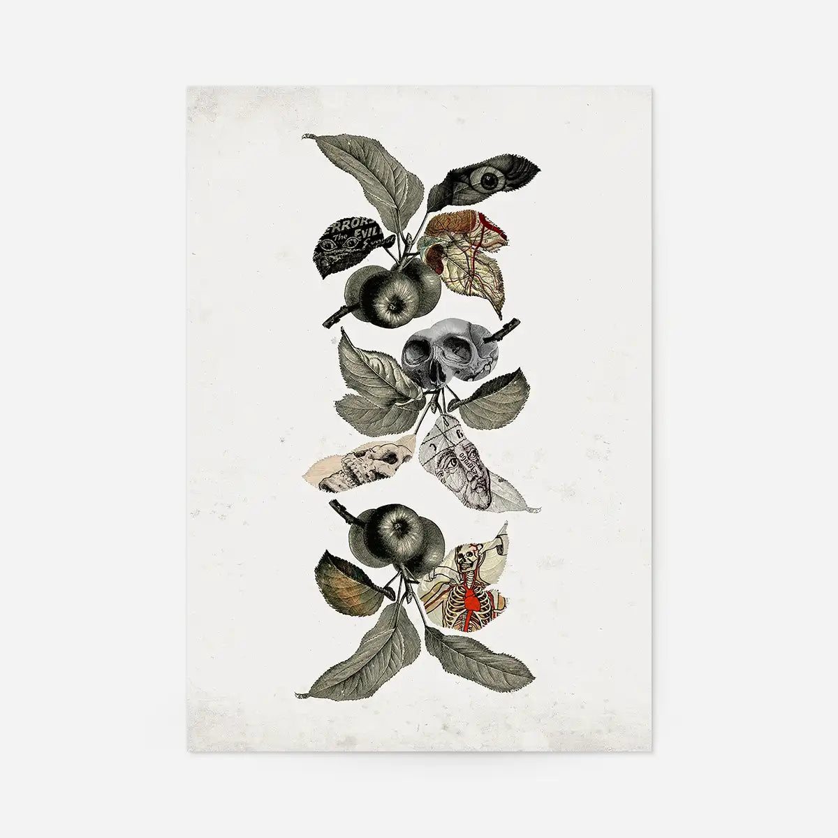 Botanical Skulls Print
