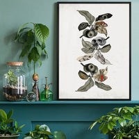 Botanical Skulls Print