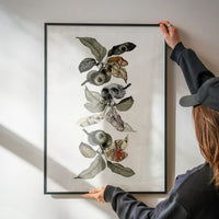 Botanical Skulls Print