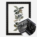 Black Ornate Frame