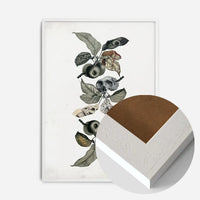 Botanical Skulls Print