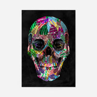 Geometric Pattern Skull Print