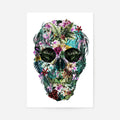 Print Only